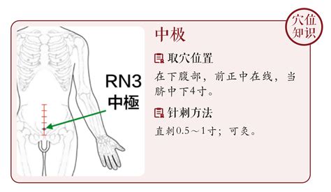 中極穴的定位正確的是|中醫知多少：小腹、泌尿及生殖系統等疾患——中極穴。